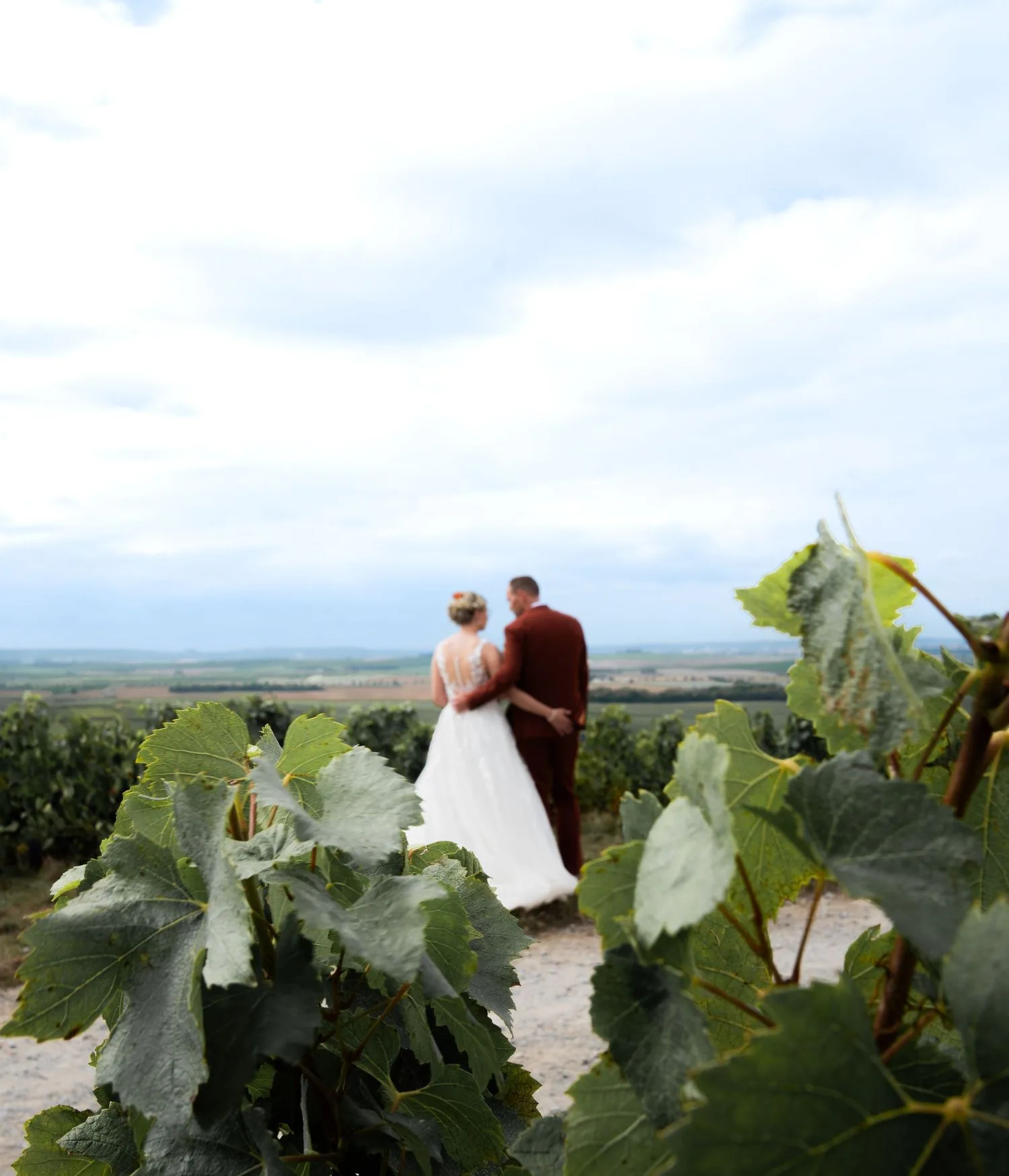 Les mariés de dos dans les vignes, robe blanche et costume terracotta