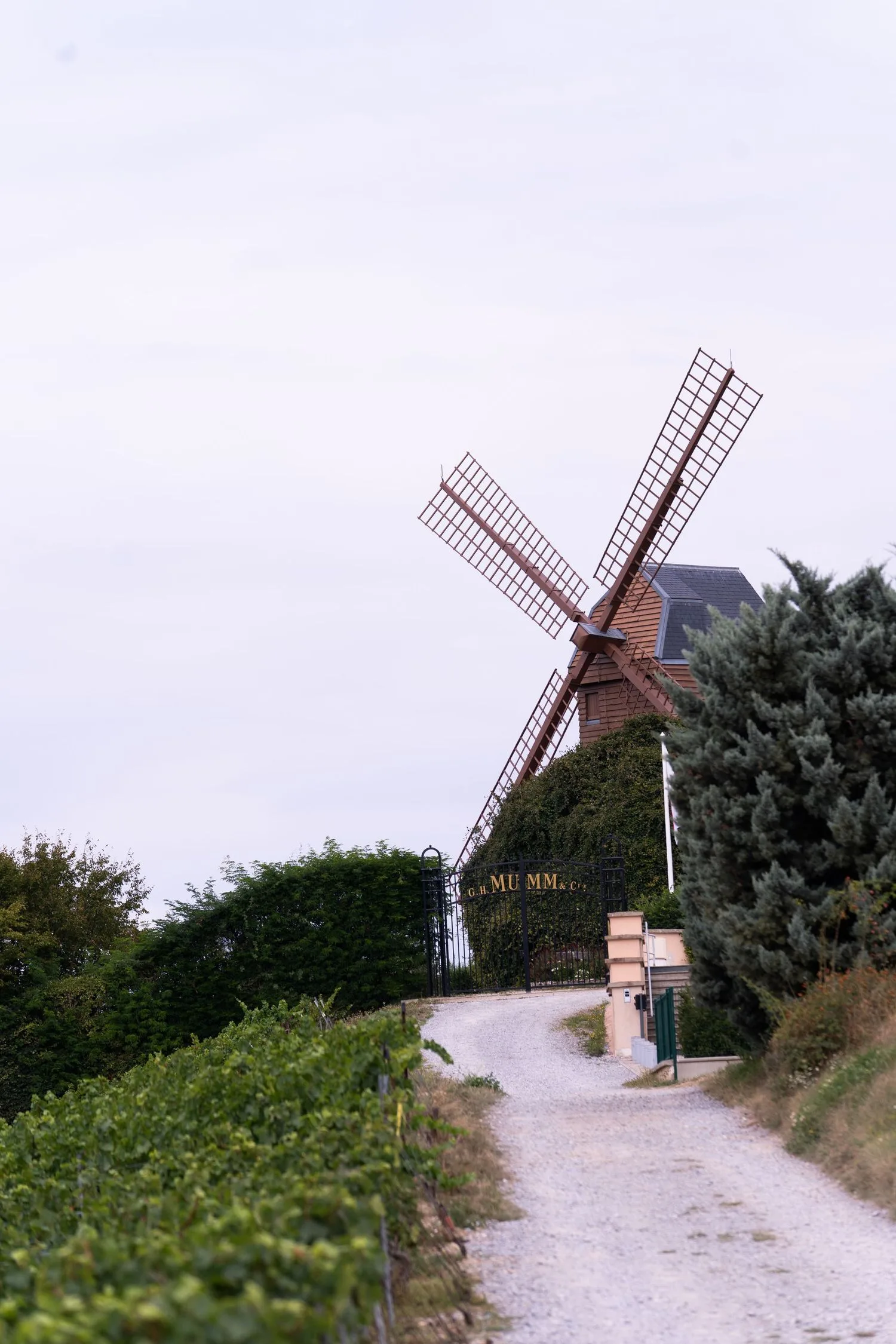 Moulin en bois au sommet d’un coteau, au bout d’un chemin bordé de vignes